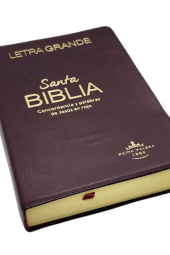 Books BIBLIA TAPA VINILO COLOR VINO LETRA GRANDE