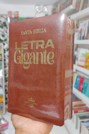 Books BIBLIA LETRA GIGANTE COLOR MARRON CON BORDE MARRON