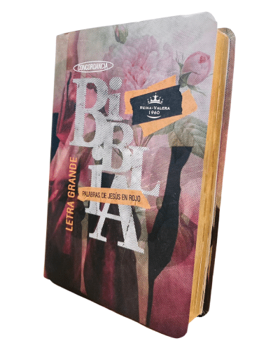 BIBLIA LETRA GRANDE MANOS LEVANTADAS Y FLORES FILO DORADO