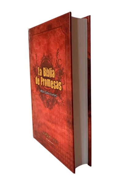 LA BIBLIA PROMESAS PARA JOVENES VARONES